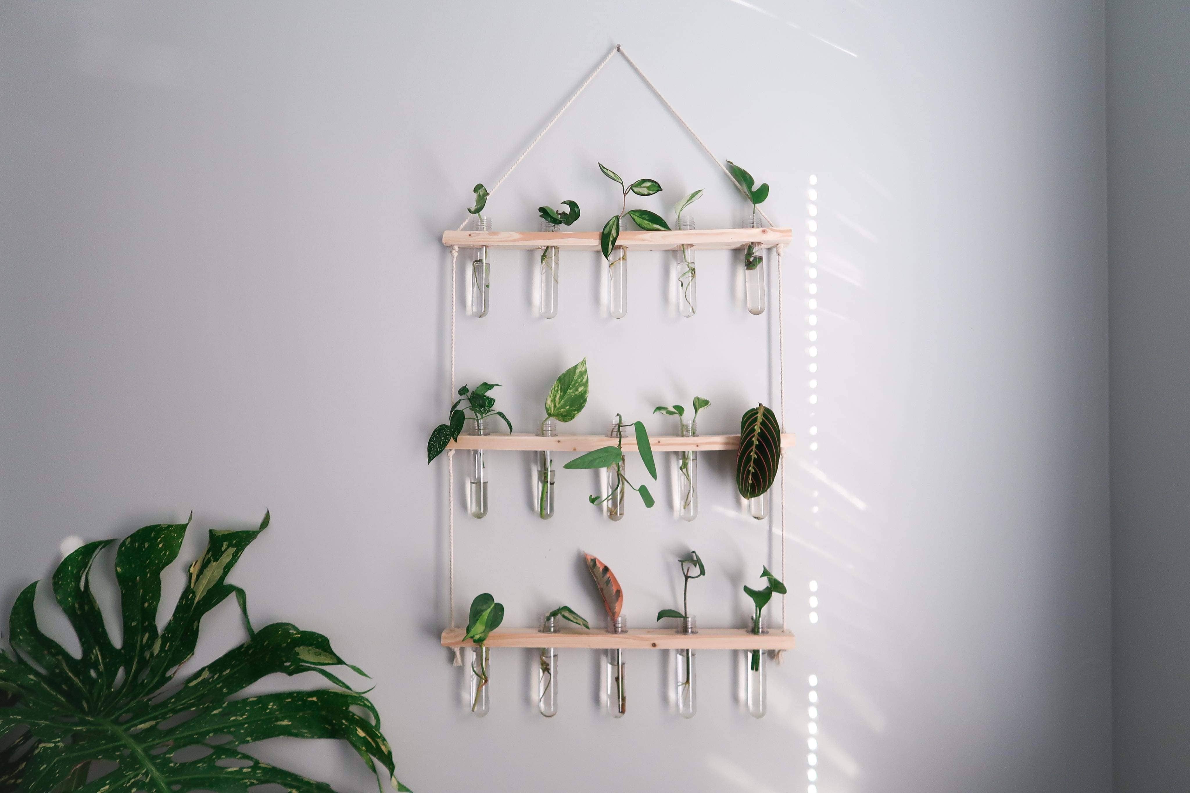 Honeycomb Hanging Propagation Station