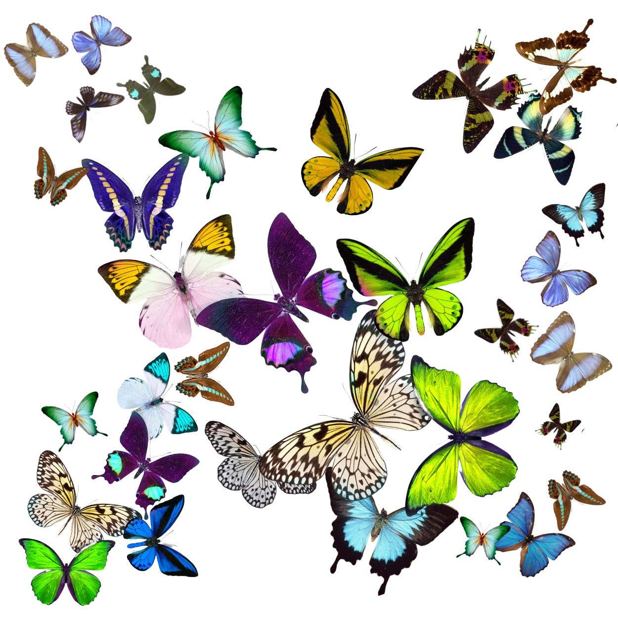 Maven Home - Wholesale Decorative Plate/Dish/Bowl - Aura Acrylic Bowl, Kaleidoscope2