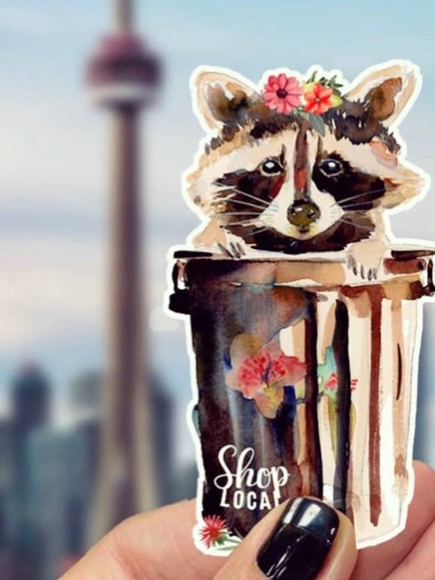 Guaxinim Autocolante Canadiano de Animais Selvagens /Loja de Lembranças Locais por atacado de The Doodle Diary