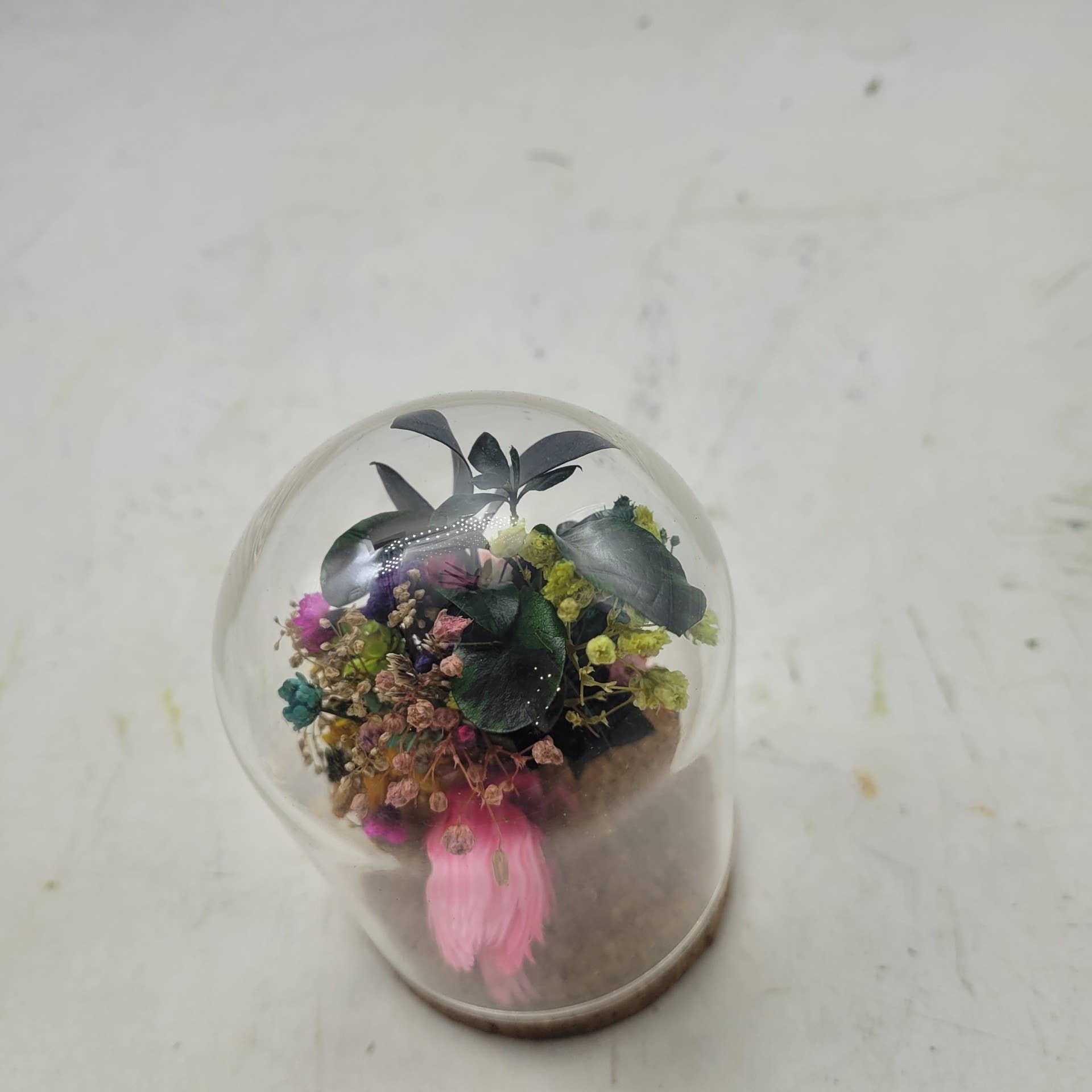 au detour du monde – wholesale Terrarium – Mini Terrarium Stabiliserad S3