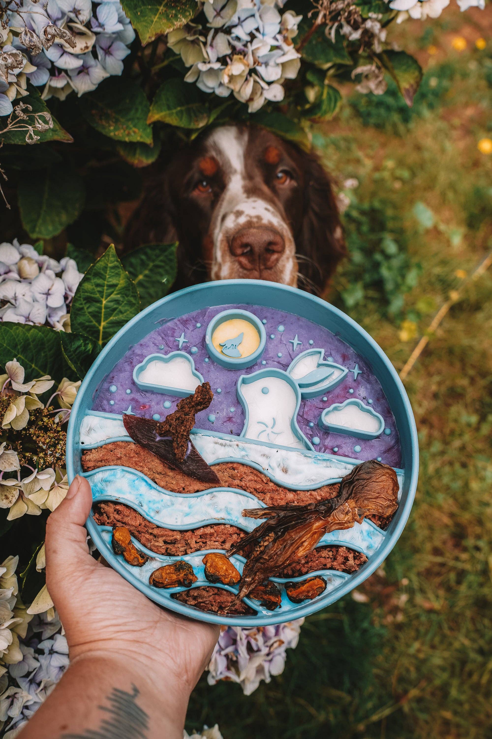 Wild n Fresh Treats - Wholesale Voedermat - Hond - Maanfestival Eetmat1