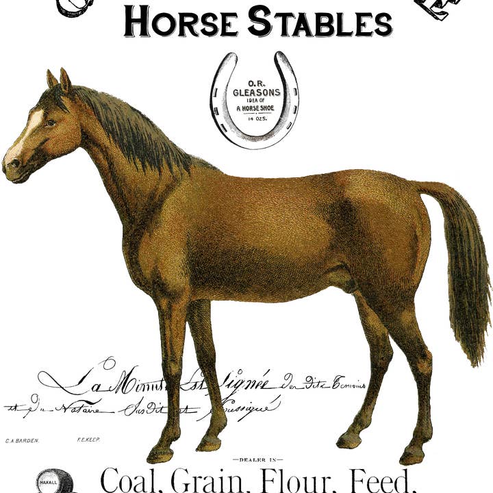 Equestrian/ Country Lane Horse Stables Hand Towel for wholesale by Ox Bow Decor