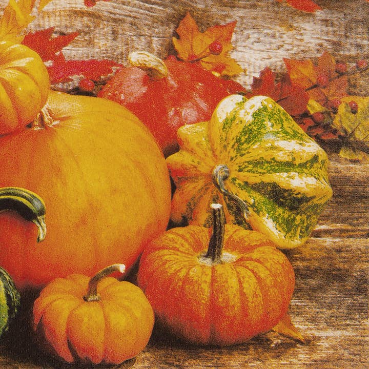 Lunch Napkin - Pumpkins for wholesale by Elegant Gifts