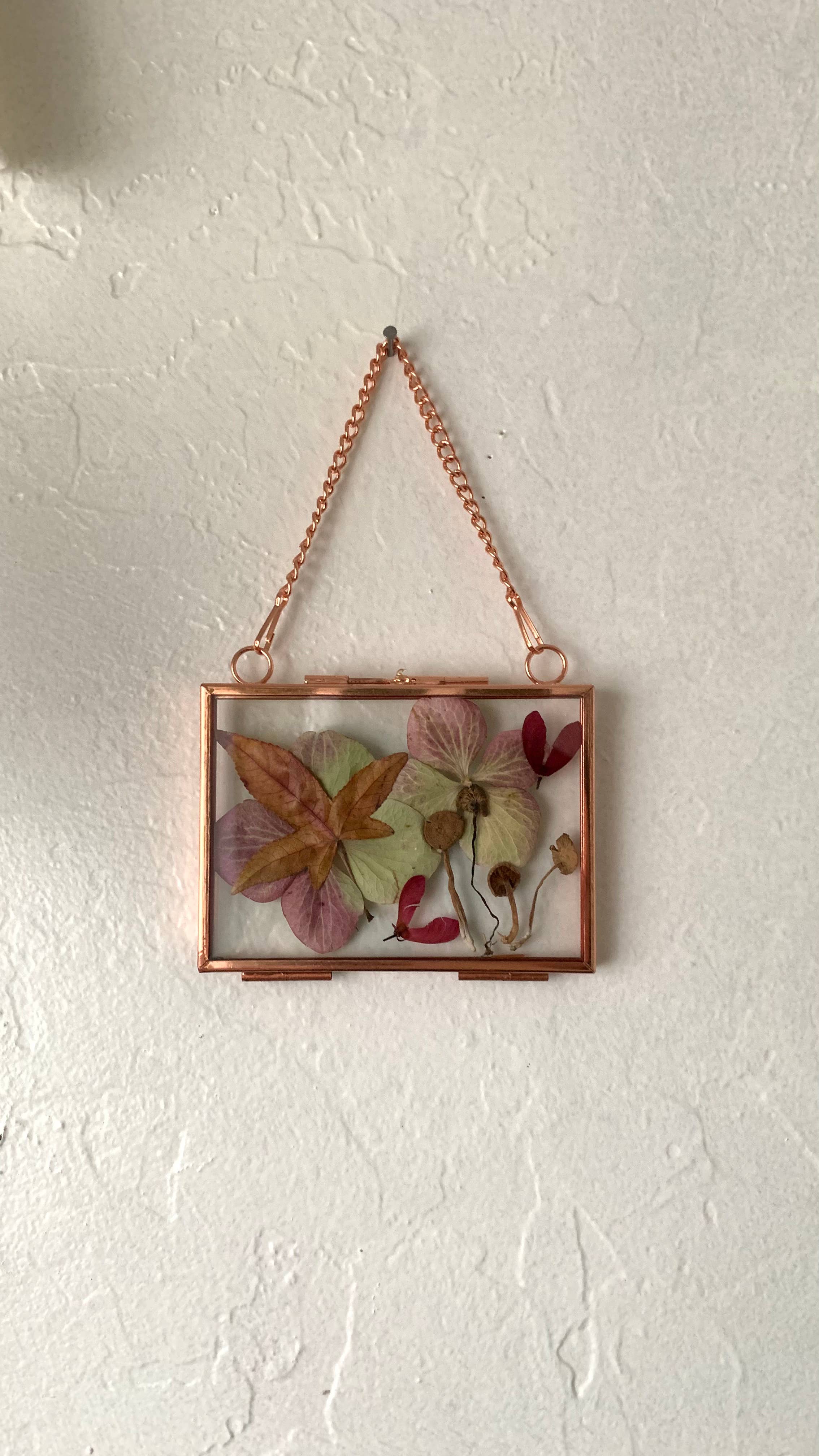 Twig and Snip - Wholesale Dried/Pressed Flowers - Miniature Pressed Flower & Fungi Windows 3.5"x 2.5"2