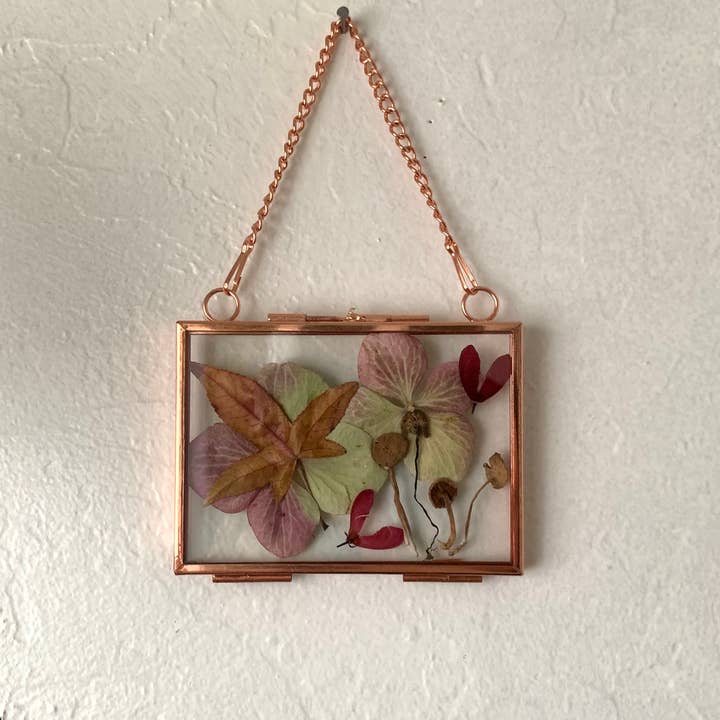 Twig and Snip - Wholesale Dried/Pressed Flowers - Miniature Pressed Flower & Fungi Windows 3.5"x 2.5"2