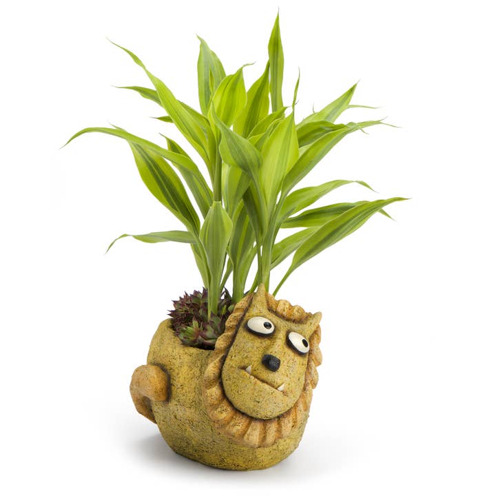 Simba the Lion Blobhouse Planter for wholesale by Cohasset Gifts