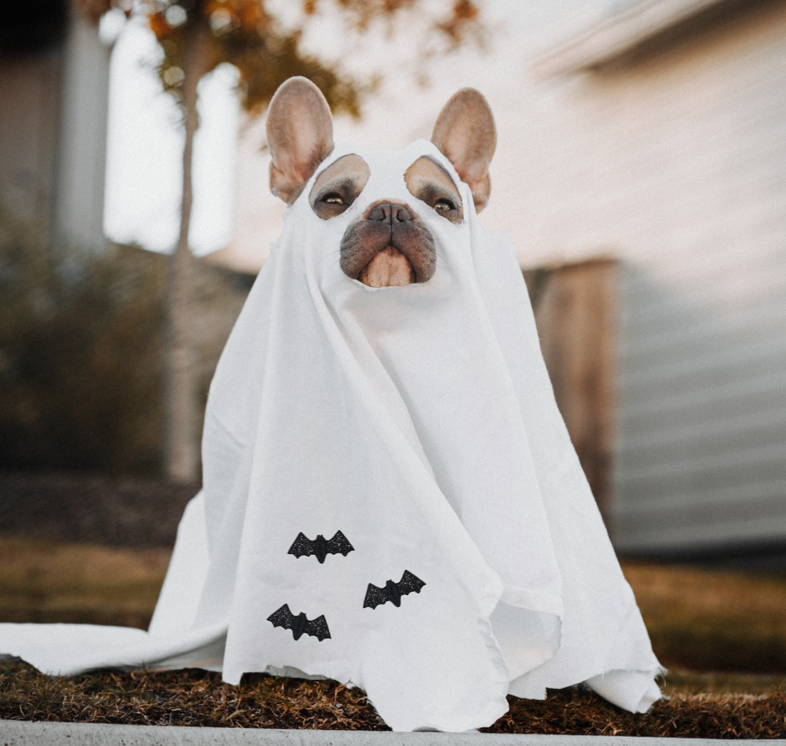 Wholesale Applique - Wholesale Patch - Black Glitter Bat, Halloween, Iron on Patch2