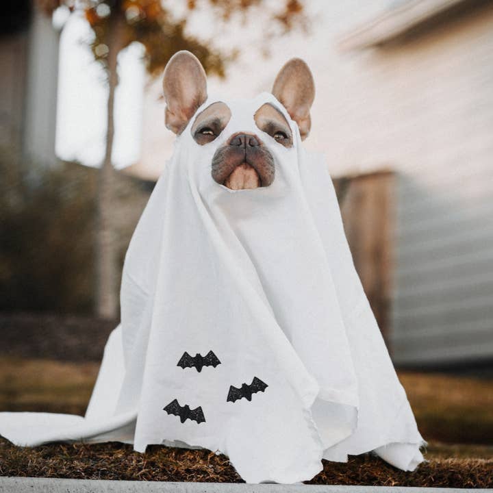 Wholesale Applique - Wholesale Patch - Black Glitter Bat, Halloween, Iron on Patch2