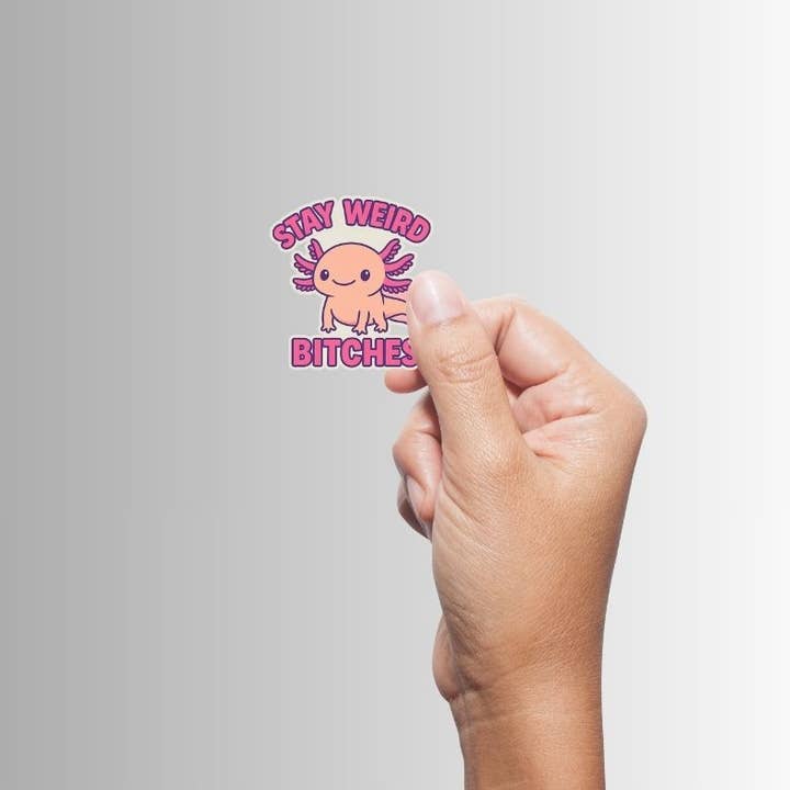 Slightly Askew Art - Wholesale Sticker - "Stay Weird Bitches" Sticker Variety Pack - 10 Designs16