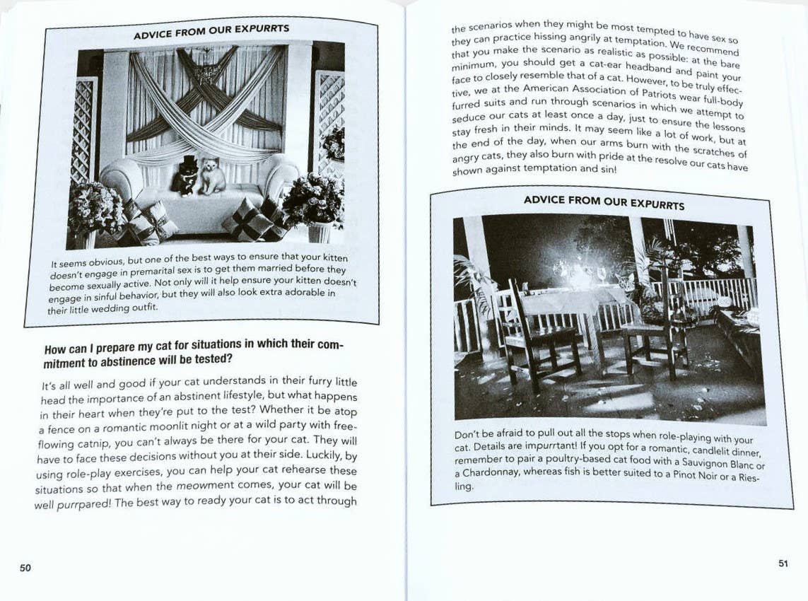 Microcosm Publishing & Distribution – Großhandel Humor – Sprechen Sie mit Ihrer Katze über Waffensicherheit: Und Abstinenz4