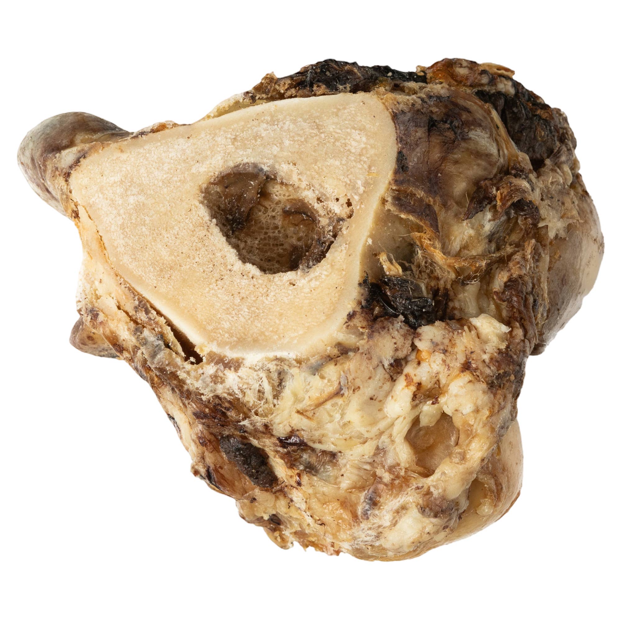 Jojo Modern Pets - Wholesale Pet Treats - Dog - Beef Crown Knuckle | All-Natural Dog Chew Treat2