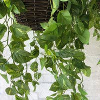 Handcrafted Flowers - Vente Plantes artificielles - Grands paniers suspendus Pothos artificiels1
