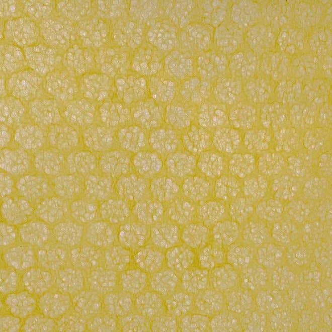 Nobel Arts - Wholesale Painting Paper - 18.5" x 25" Mulberry Paper5