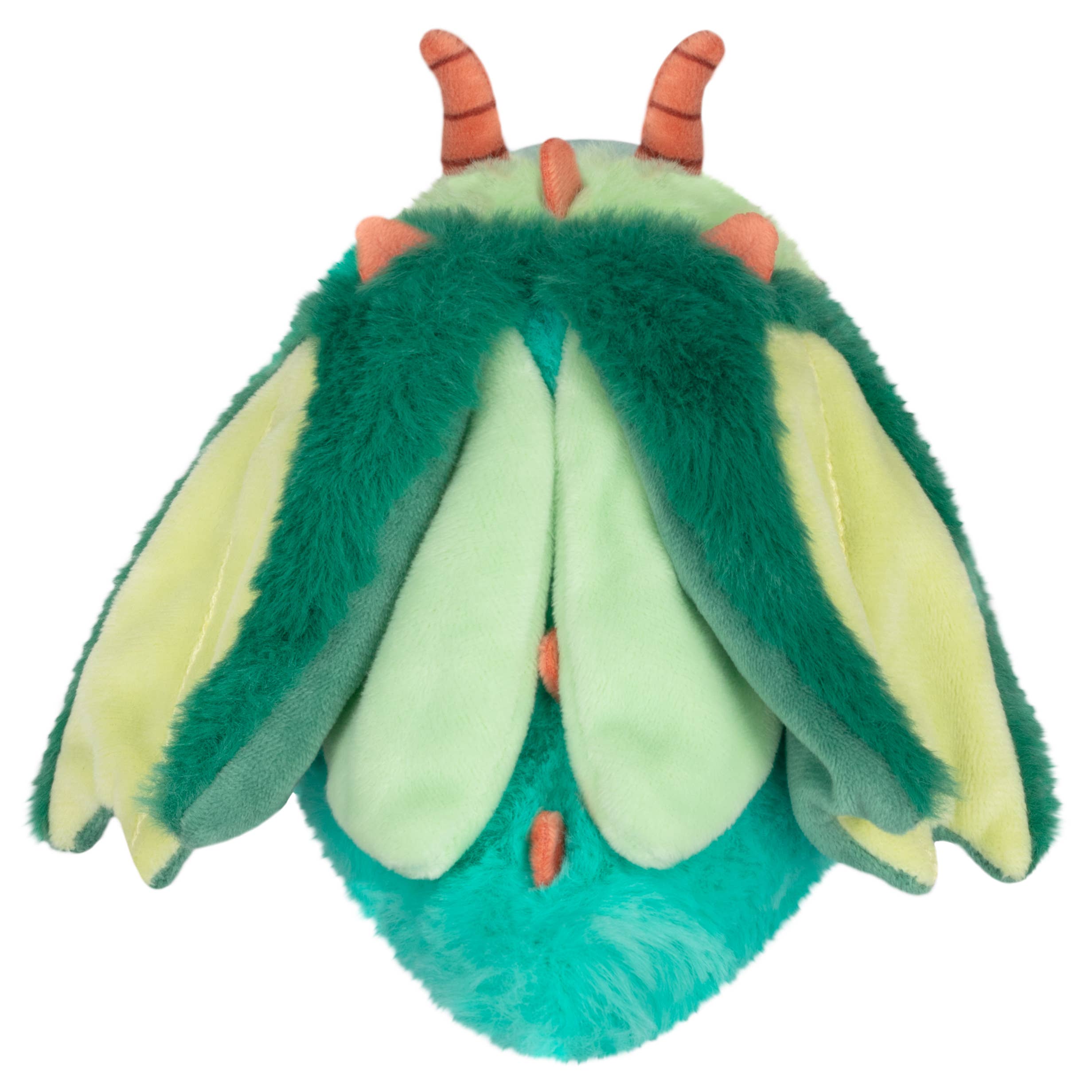 Squishable EU - Wholesale Stuffed/Plush Toy - Kids & Baby - Alter Ego Moth - Dragon2
