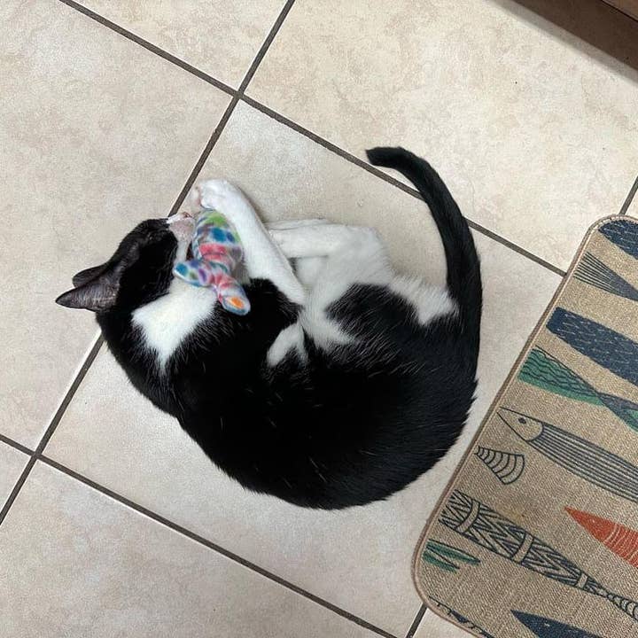 Superb Snuffles - Wholesale Pet Toy - Cat - Catnip Toy6