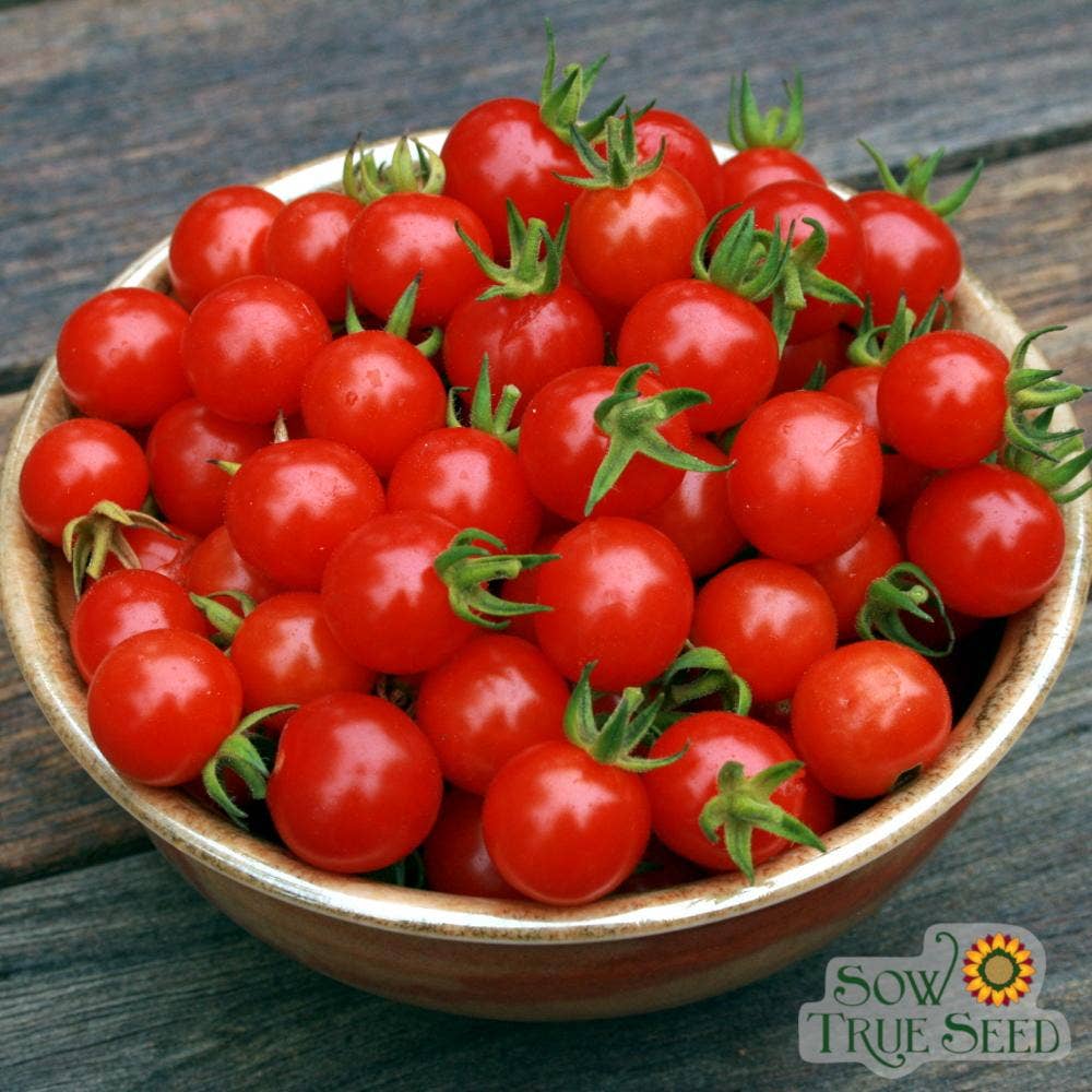 Sow True Seed - Vente Graines de plantes - Graines de tomates cerises - Cherry Sweetie, BIO2