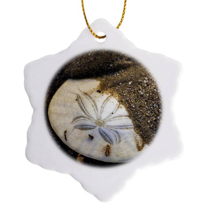 3dRose - Wholesale Ornament - 3dRose, California, Morro Bay. Sand dollar on Morro Strand State Beach., Ornament7