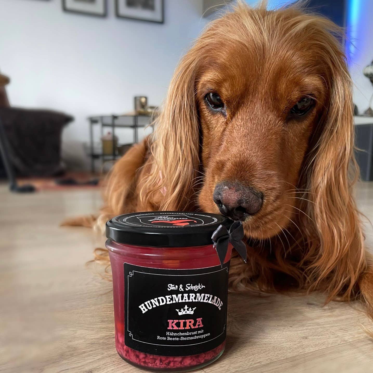 Meister Handelsmarken GmbH - Vendita all'ingrosso Snack - Cani - UNICORN DOG JAM - Paté per Cani con Pollo, Verdure e Barbabietola10