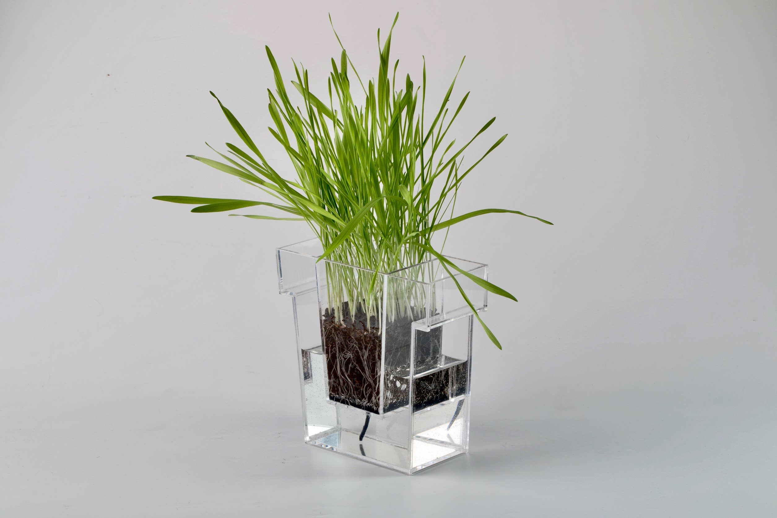 Object Rights - Wholesale Plant Pot - Self Planter1