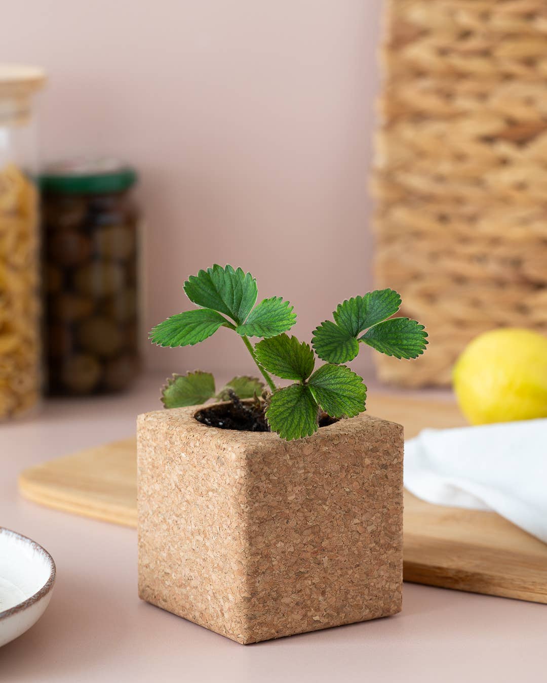 Life in a bag - Wholesale Plant Pot - Grow Cube Strawberries1