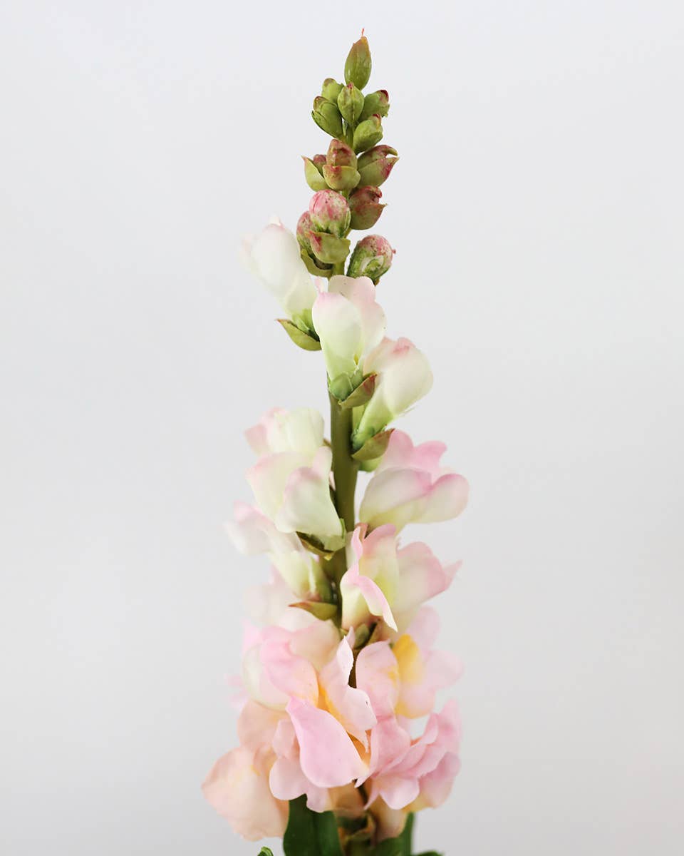 Prestige Botanicals - Wholesale Artificial Flowers - Real Touch Pink Snapdragon 23”2