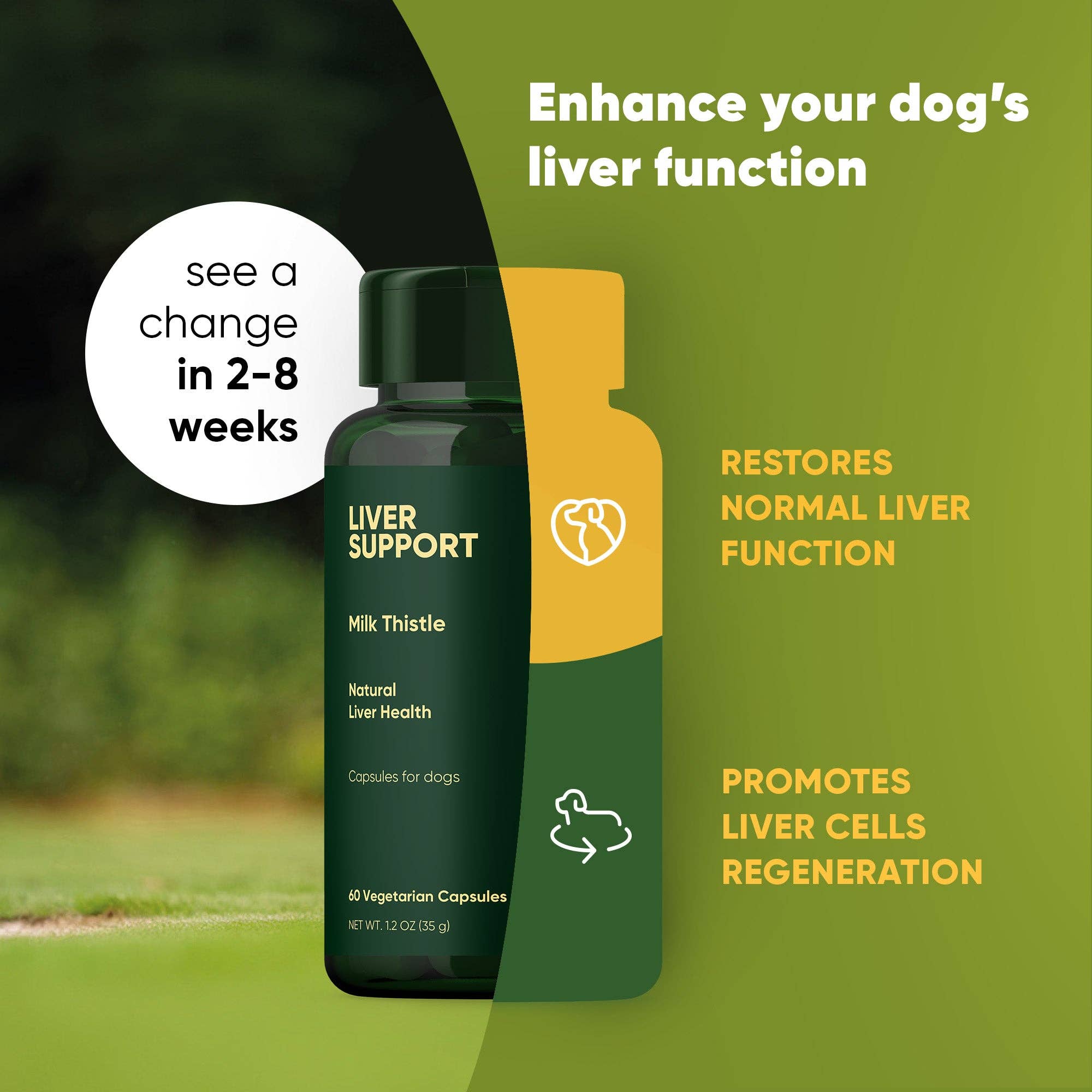 Rooted Owl® Natural Pet Health - Wholesale Pet Supplement - Dog - Liver Support2