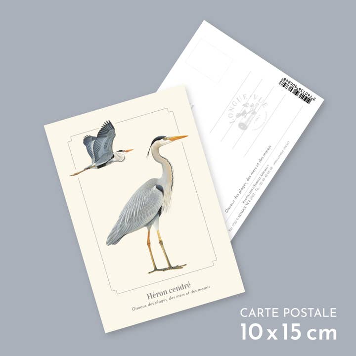 Grey Heron - Postcard for wholesale by Longue-vue