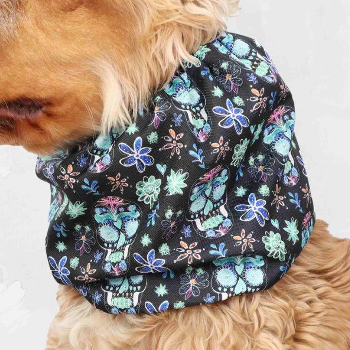 Gorro Impermeável para Cão | Caveira por atacado de Distinguish Me