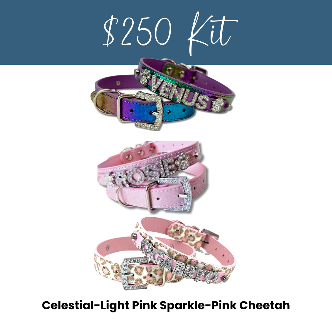 House of FurBaby - Wholesale Pet Collar - Cat/Dog - DIY Pet Collar Bar Kit: Silver Sparkle 280 Pieces $600 Value21