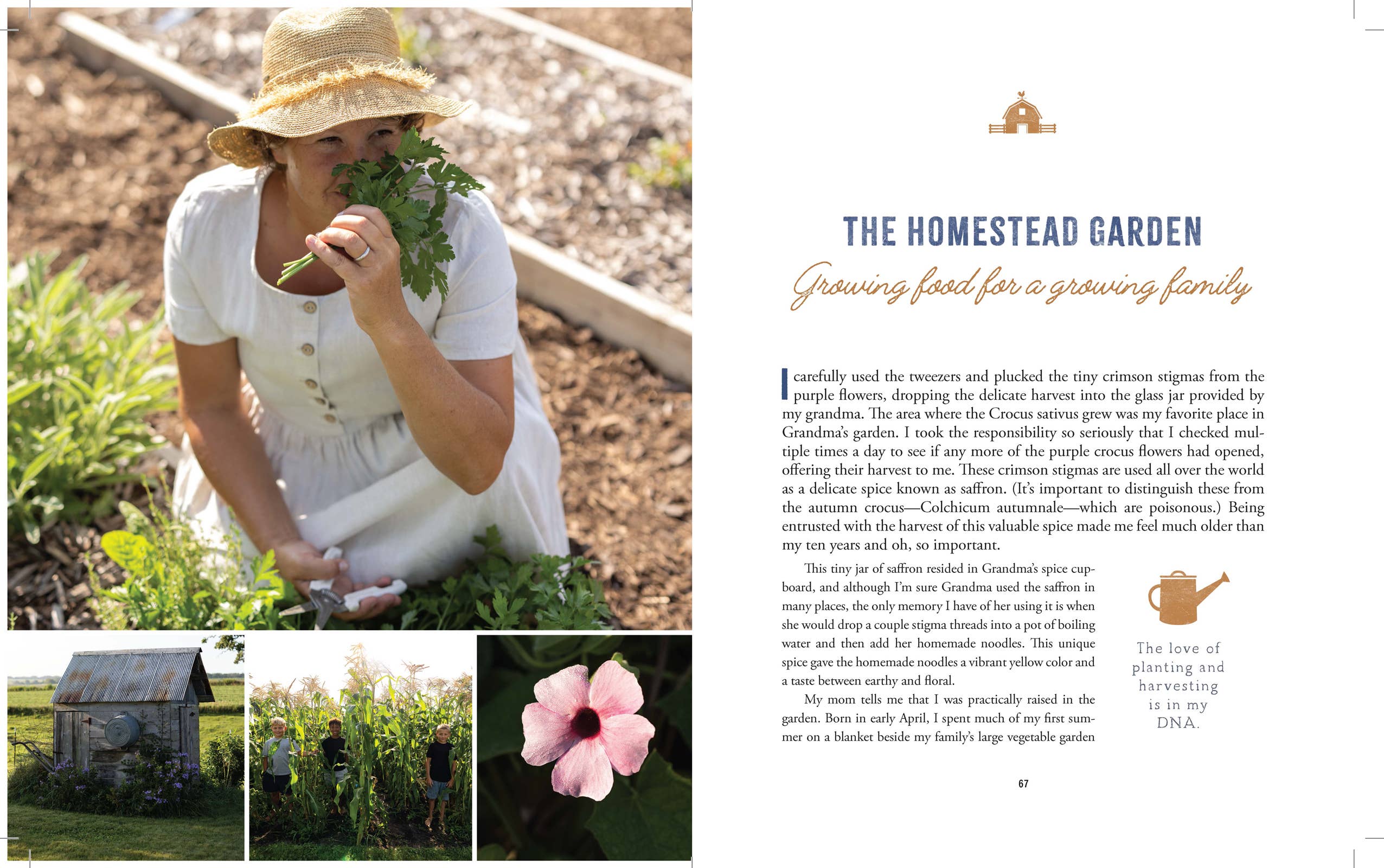 Harvest House Publishers Gift & Specialty Books - Wholesale Biography & Memoir - The Heart of the Homestead3