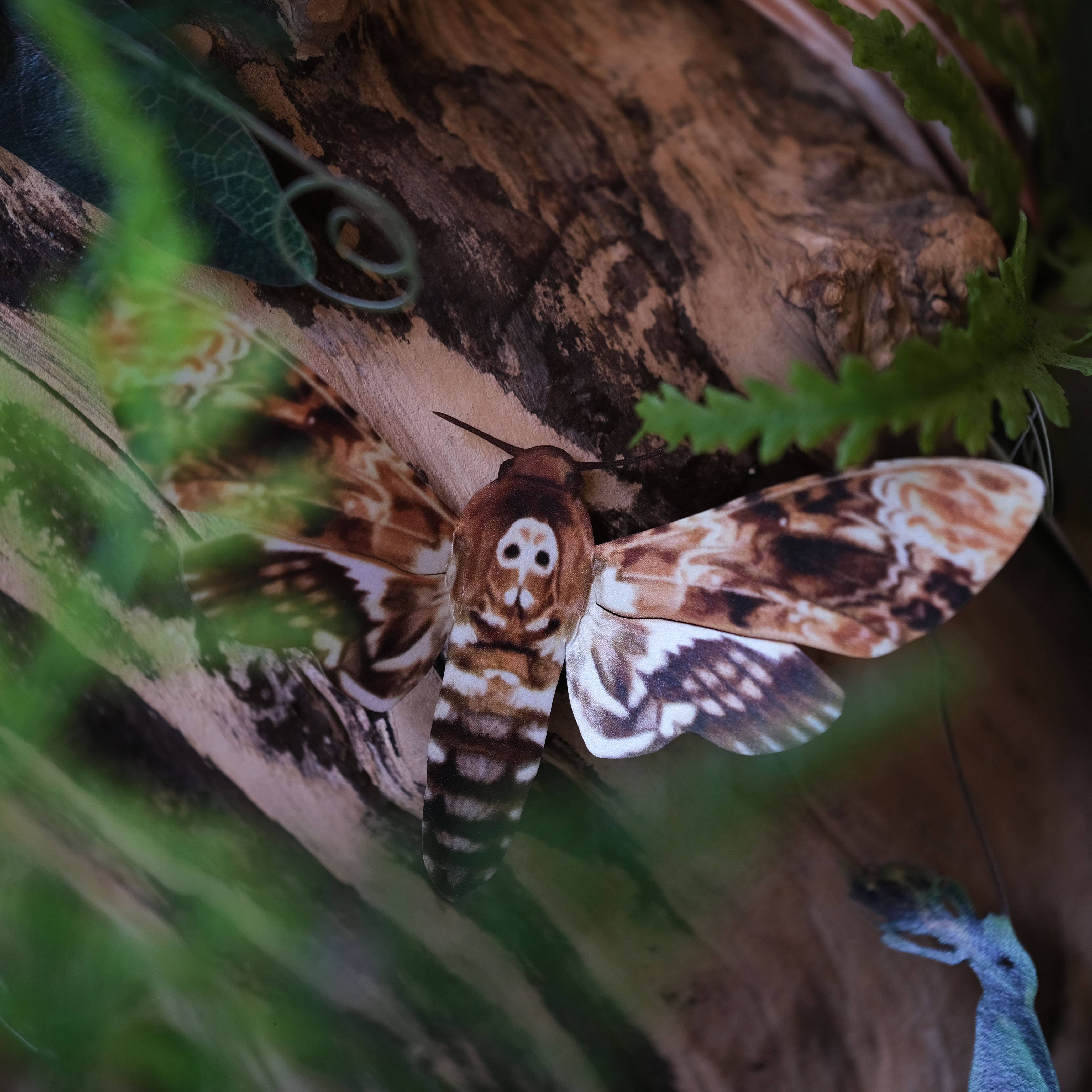 Moth and Myth - Venta al por mayor Recortables - Set de 3 piezas para polillas y hongos «Forage»1