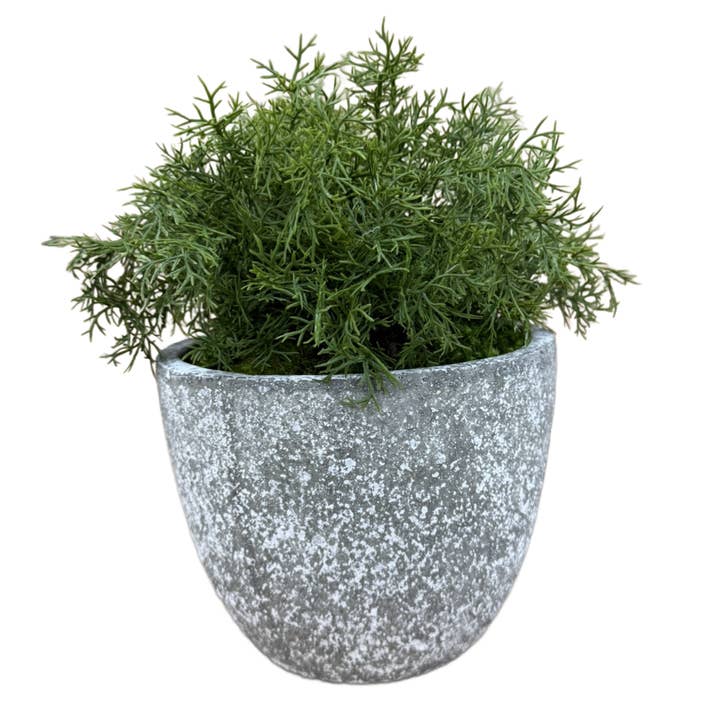 SPRINGERI MOUND 8" STONE LOOK for wholesale by The Ivy Guild