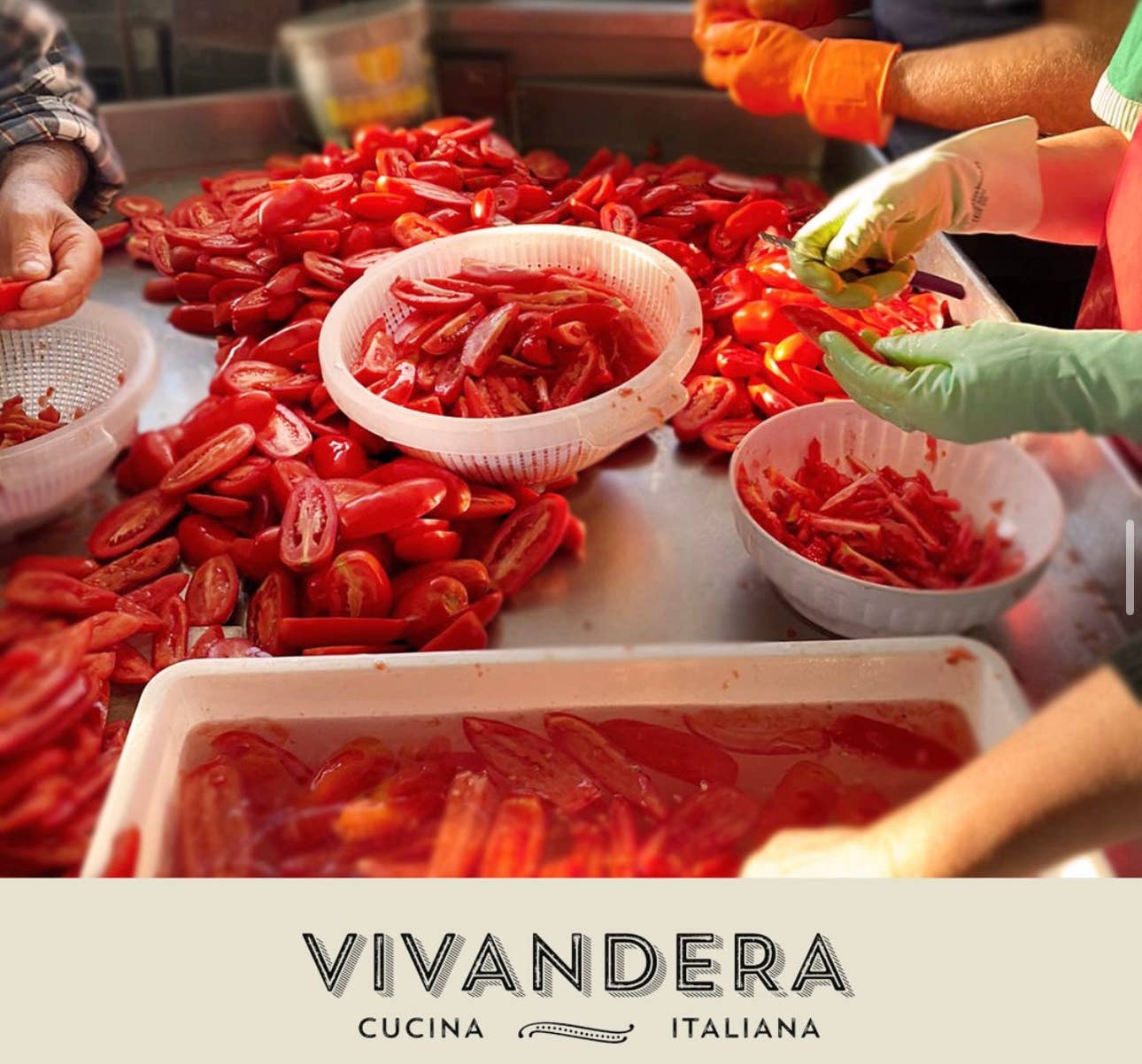 Sky X Vivandera – Engroshandel Syltede grøntsager – TOMAT DEL PIENNOLO DEL VESUVIO DOP 100% ITALIENSK11