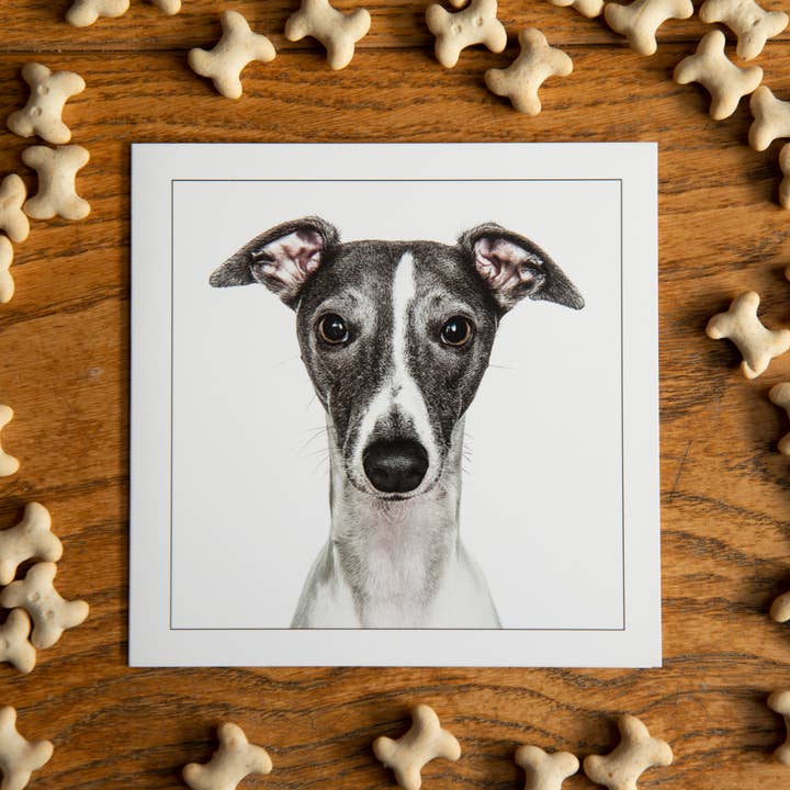 GRUFFPAWTRAITS - Wholesale Everyday Greeting Card - Whippet - Dog Greeting Card 1