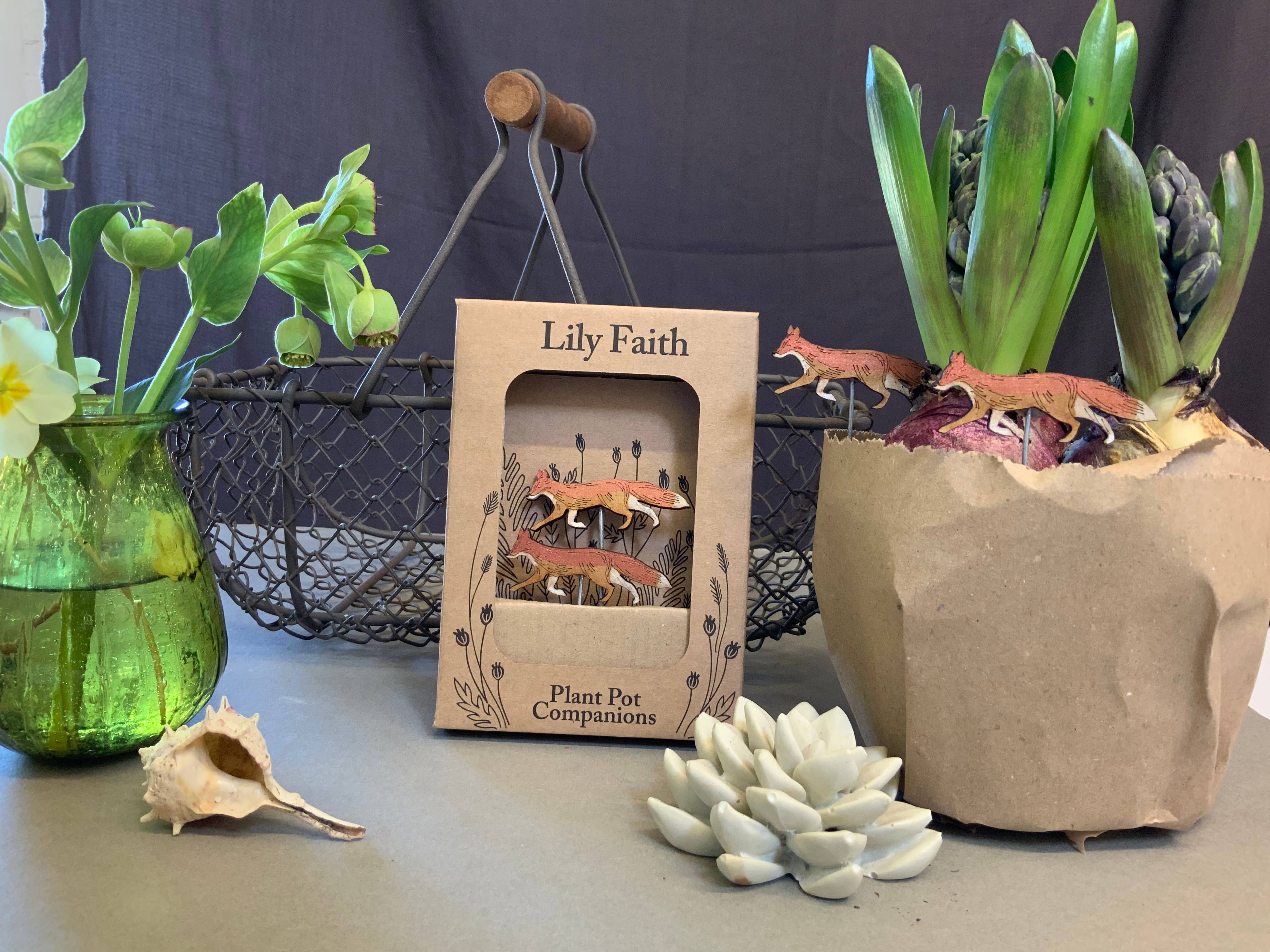 Lily Faith – wholesale Gräspiggar – Rävrävar till blomkrukor3