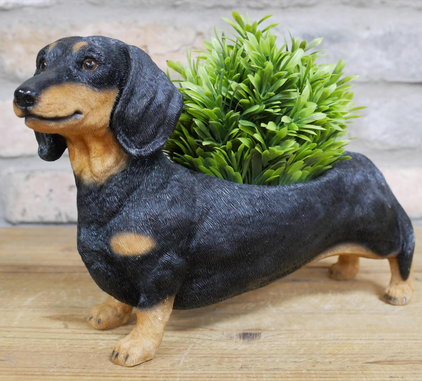 Animal Crackers – wholesale Plant pot – Dachshund shaped resin indoor or garden patio plant or herb planter ornament, novelty Sausage Dog lover gift0