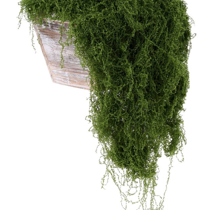 100G Fabric Moss In Bag Dark Green MD175531 for wholesale by DecoExchange