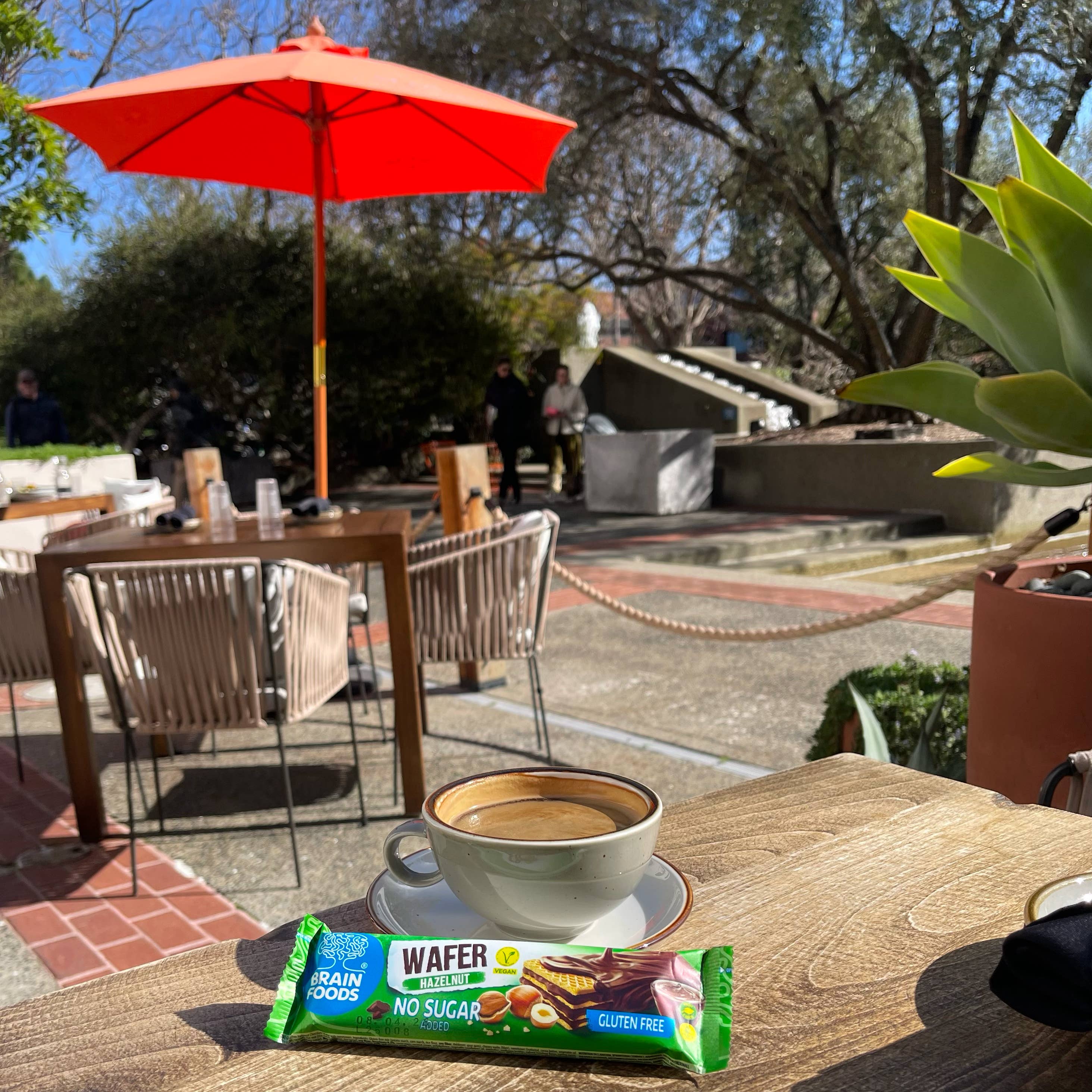 Wilton Mettler LLC - Wholesale Snack Bar - BRAIN FOODS Gluten Free Vegan Wafers (Hazelnut & Chocolate)7