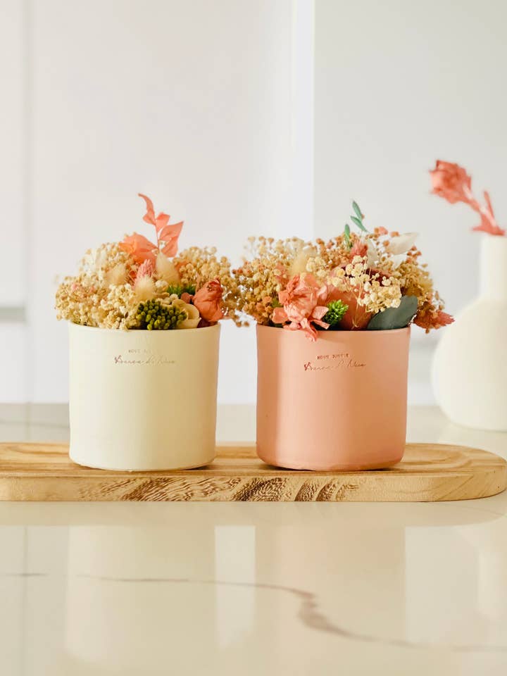 Noé pour la vente par Branca de Neve Home Jungle