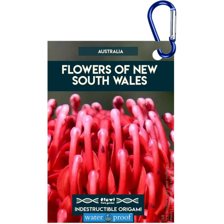 Fleurs de Nouvelle-Galles du Sud-Origami indestructible pour la vente par Flexi Field Guides