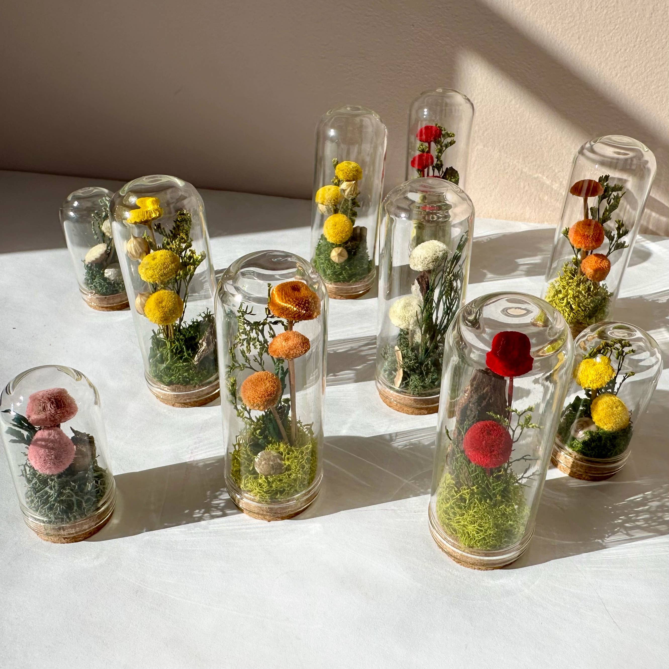 CA Studios - Wholesale Terrarium - Mushroom Mix Terrarium Glass Cloche Cork Jar & Florals6