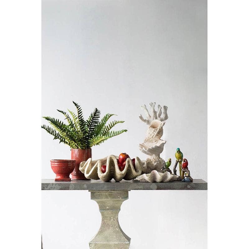 A&B Home Group Inc. - Wholesale Decorative Tabletop Object - Medium Clam Shell Accent1