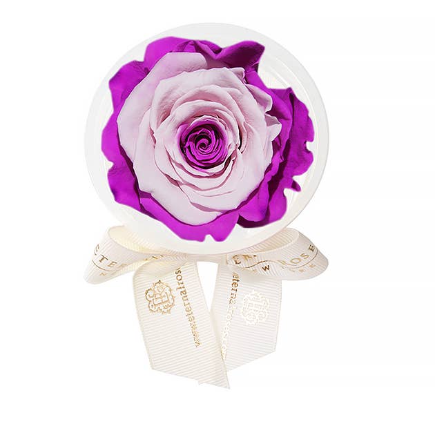 Eternal Roses® - Wholesale Party Favor - Eternal Rose Party Favors34