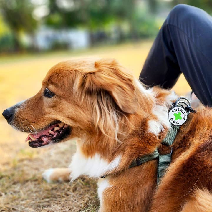 Jiby Dog Crew - Venta al por mayor Colgante - Gatos y perros - Perro de terapia Jiby