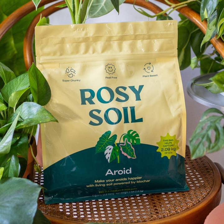 Mélange Aroid 4qt pour la vente par Rosy Soil