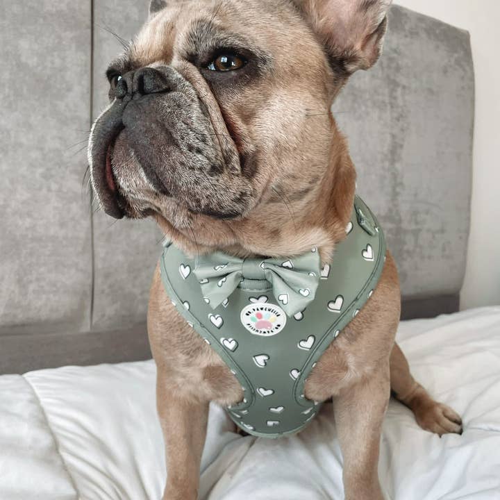 Adjustable - Heart of Sage for wholesale by My Pawchella