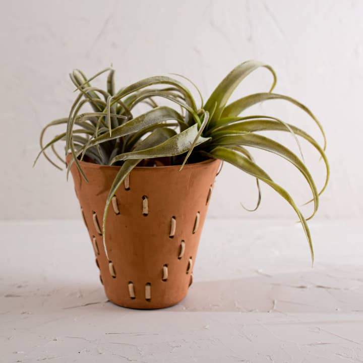 Foreside Home & Garden - Wholesale Plant Pot - SALE - Jarvis Diamond Weave Terracotta & Cane Planter Pot0