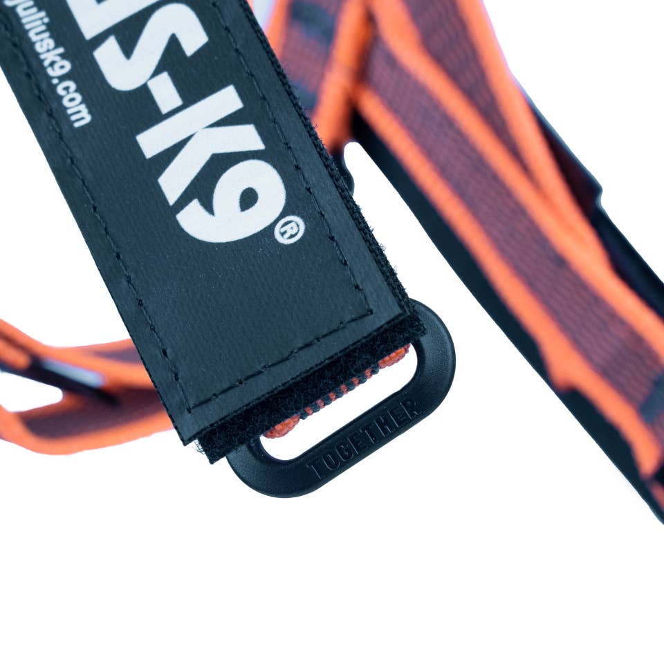 Julius K9 - Wholesale Pet Harness - Dog - Ergonomic Ergonomic CintaIDC Pet Dog Harness Orange5