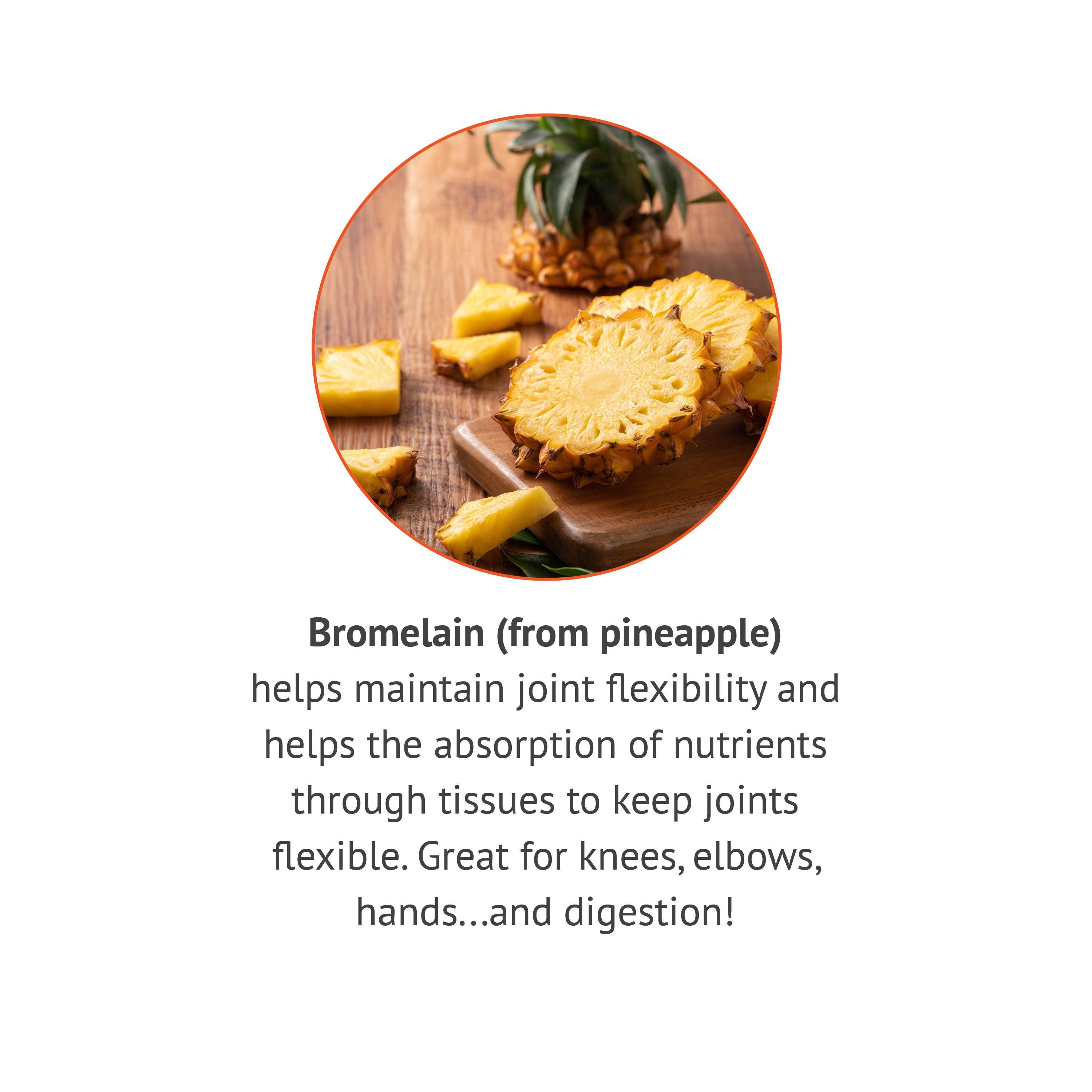 Botanic Choice - Venta al por mayor Suplementos/vitaminas para beber - Botanic Choice Bromelain 500 mg - 90 cápsulas3