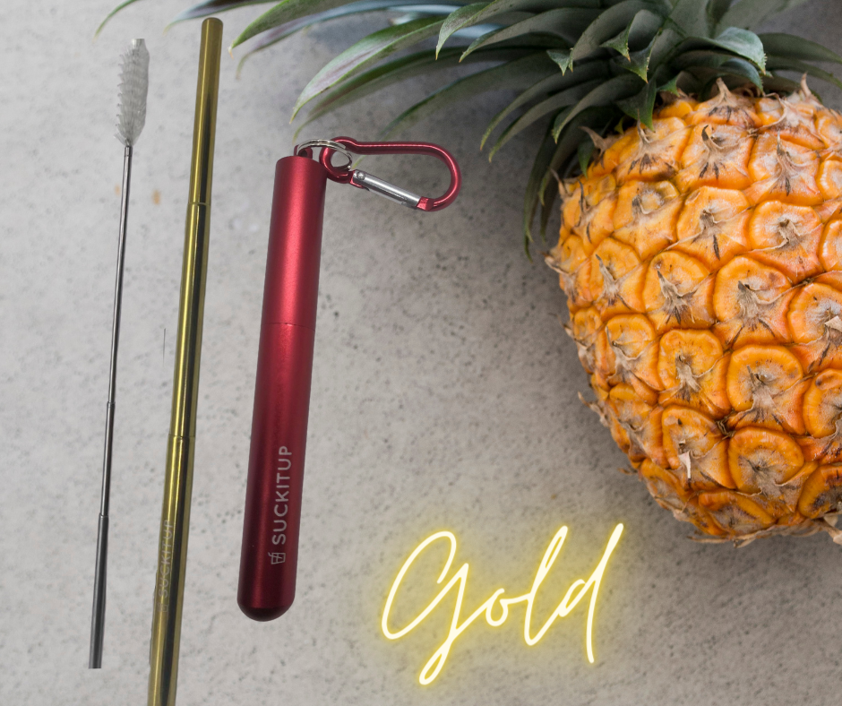 Suck It Up Straws - Vente Paille - Pailles métalliques télescopiques avec étui pour porte-clés et brosse de nettoyage39